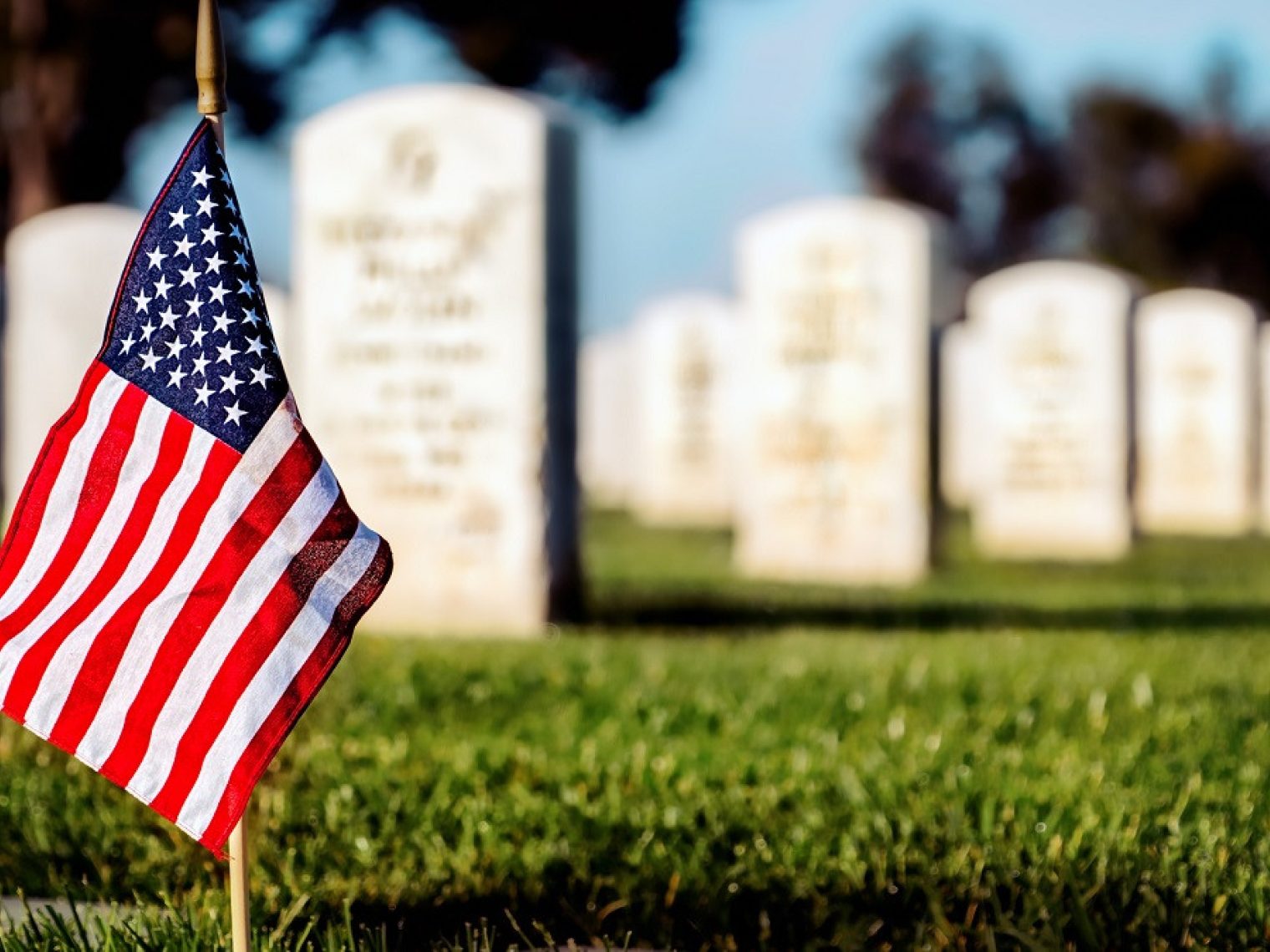 Flag planted in military cemetery.