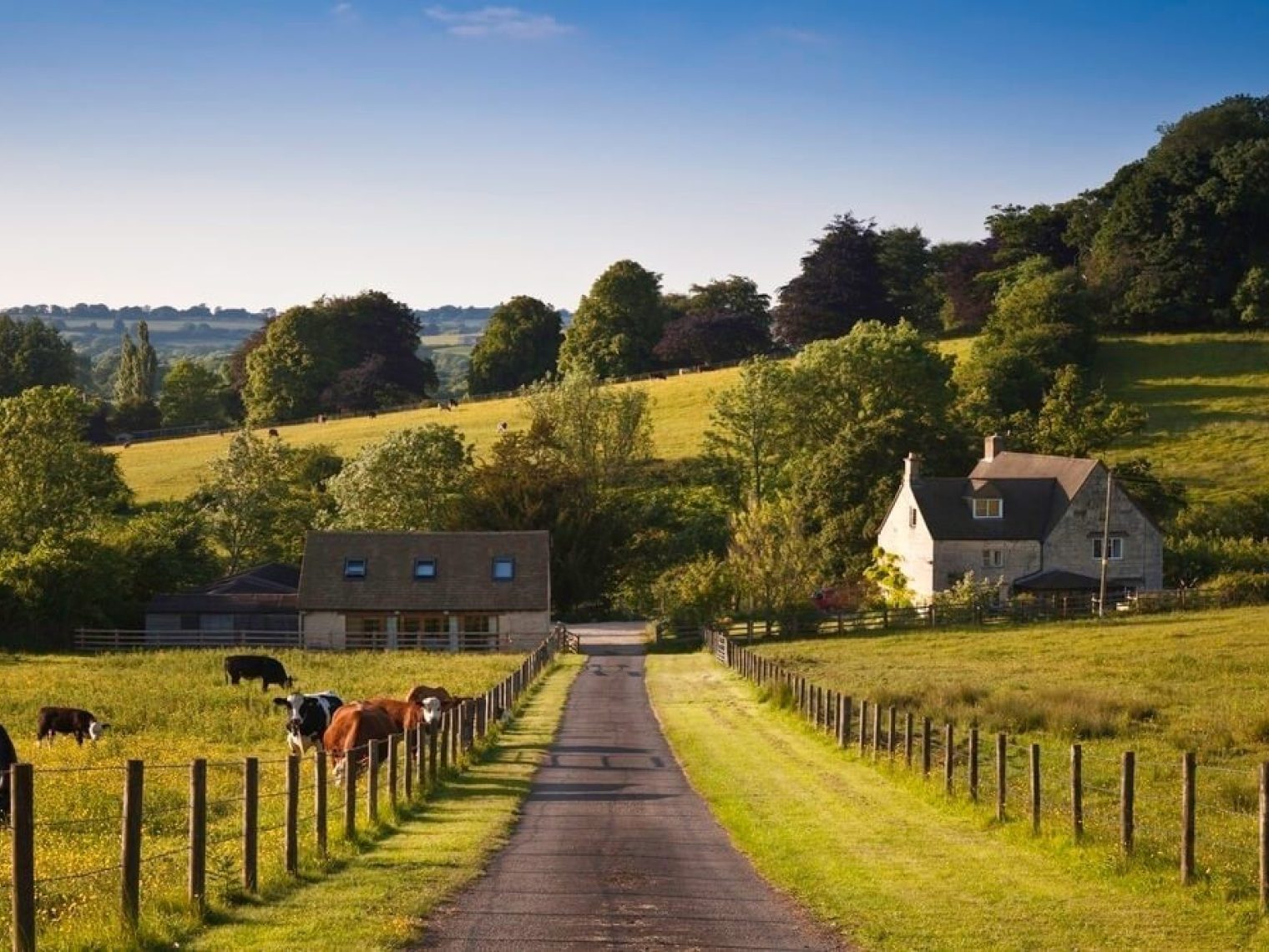 Scenic country road leading to a farm house.