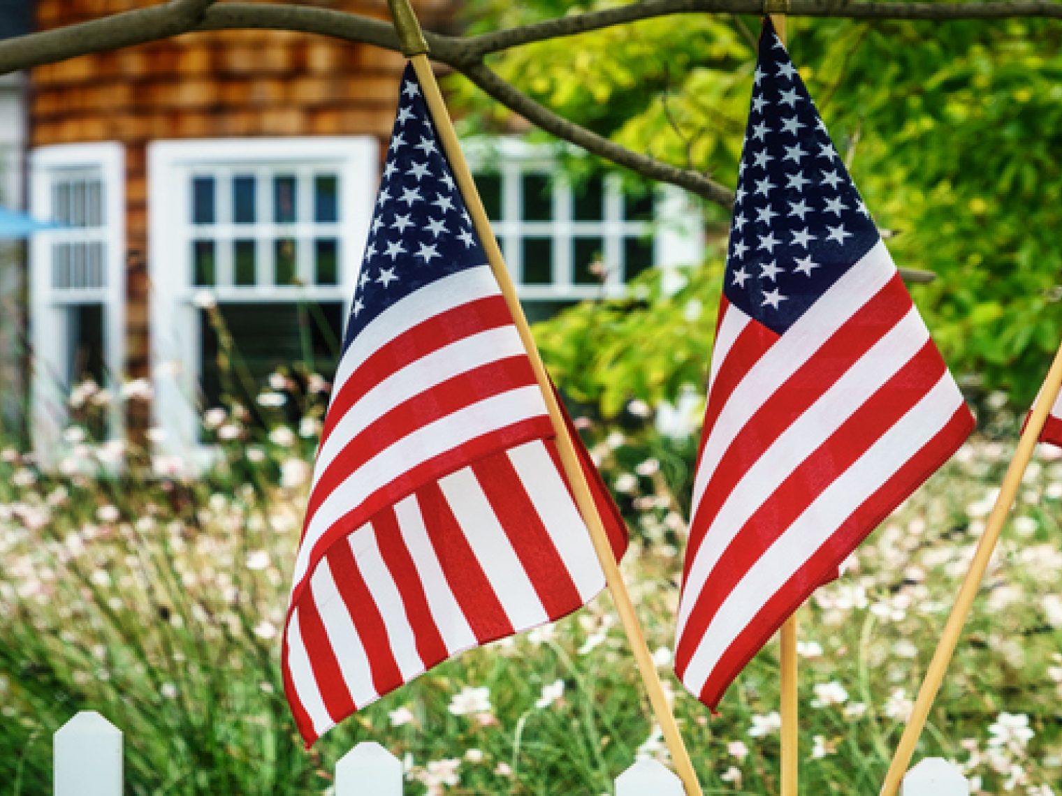 Three American flags hanging on poles, displayed in a residential garden with a white picket fence and a house in the background.